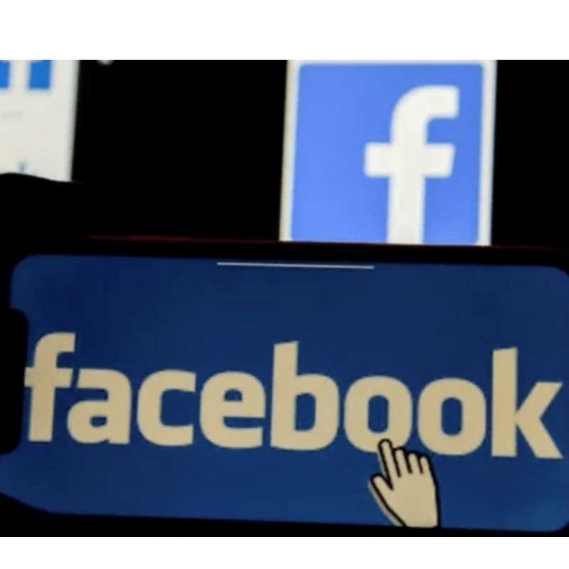 Facebookの中央値\\\\ 170万年の中央値：労働市場における大きな工場のオンライン効果を強調する